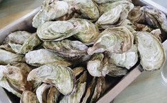 欧洲无人区卡一卡二卡三